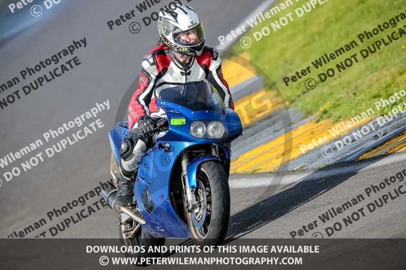 PJ Motorsport 2019;anglesey no limits trackday;anglesey photographs;anglesey trackday photographs;enduro digital images;event digital images;eventdigitalimages;no limits trackdays;peter wileman photography;racing digital images;trac mon;trackday digital images;trackday photos;ty croes